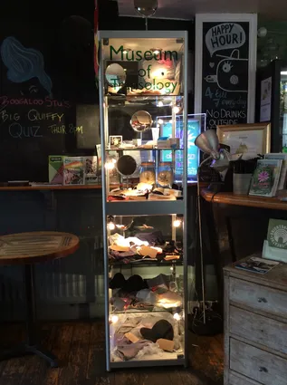 a lit up glass cabinet with 'museum of transology' printed on the front. The cabinet is filled with different objects from the Museum of Transology collection.
