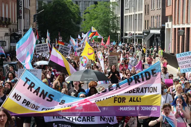 Protestors approach Leinster House in Dublin.