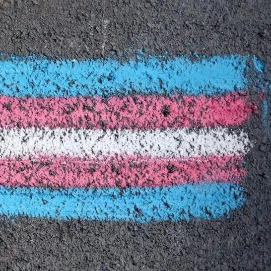 pexels-photo-8275181-1024x546-1