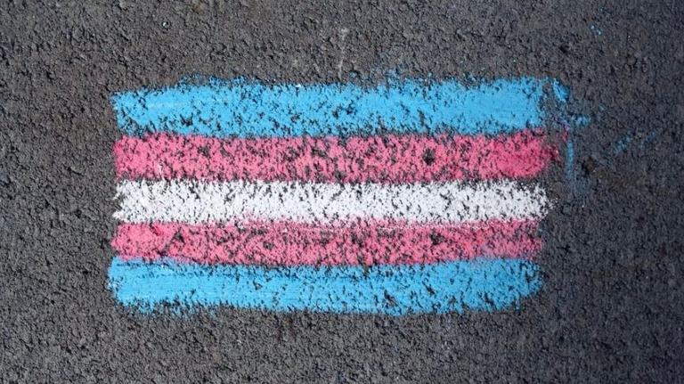 pexels-photo-8275181-1024x546-1